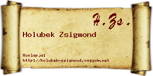 Holubek Zsigmond névjegykártya